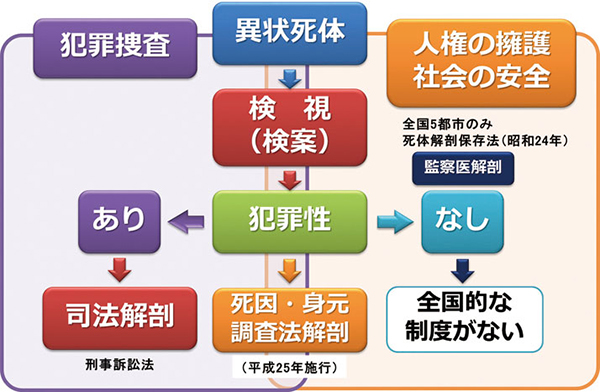 新潟市医師会	新たに始まる死因究明制度：死因究明等推進基本法について