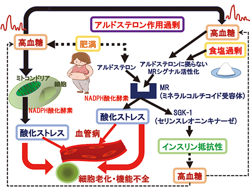 どのように扱われますか?